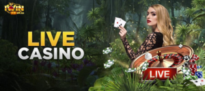 Giới thiệu về Live casino Iwin